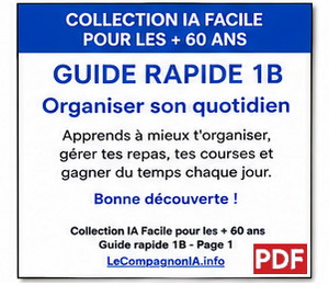 Guide Rapide 1B