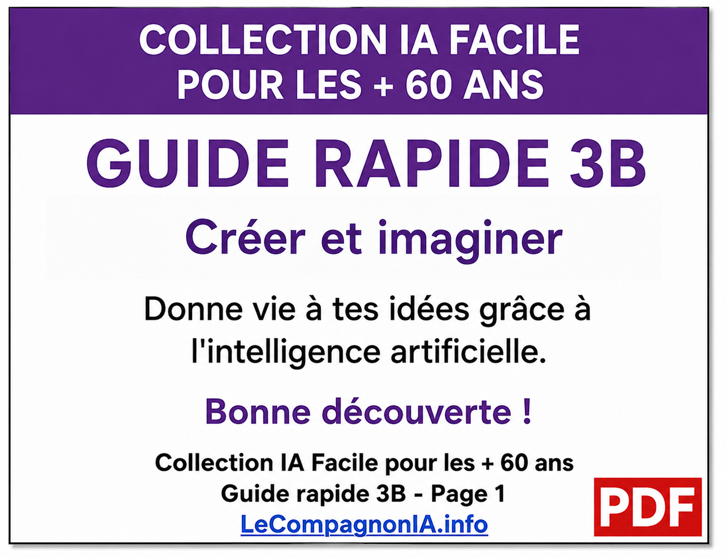 Guide Rapide 3B